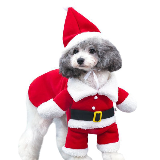 Festive Santa Christmas costume for pets