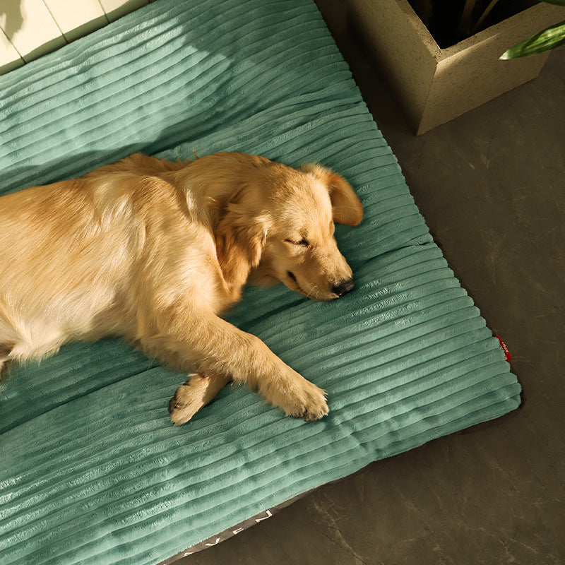 Dog resting in kennel-style washable bed