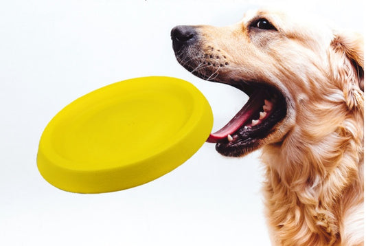 Soft EVA flying disc fetch toy for dogs