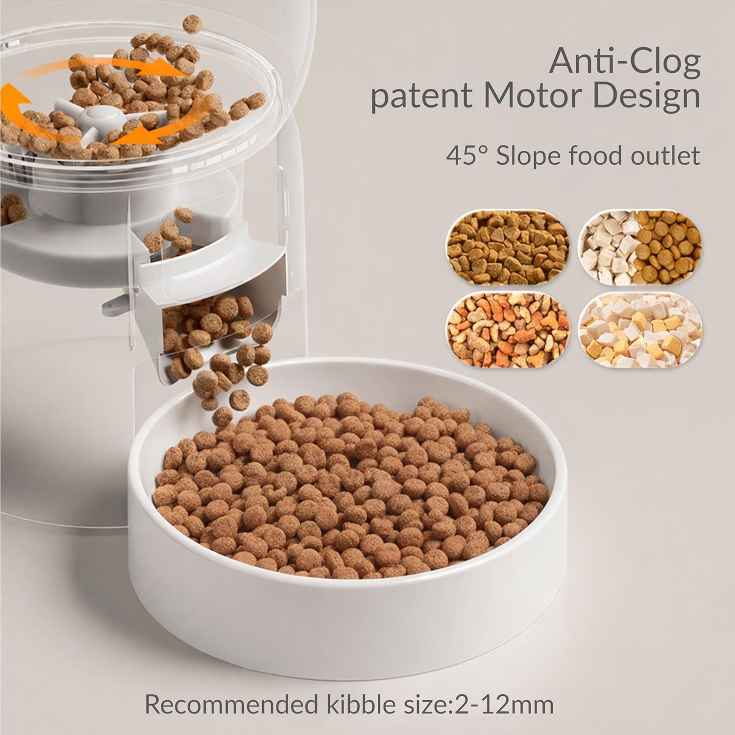 Timed cat feeder for cats and small dogs
