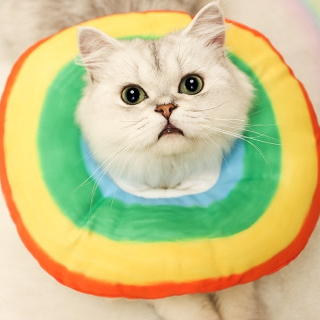 Adjustable Elizabethan recovery cone collar for cats