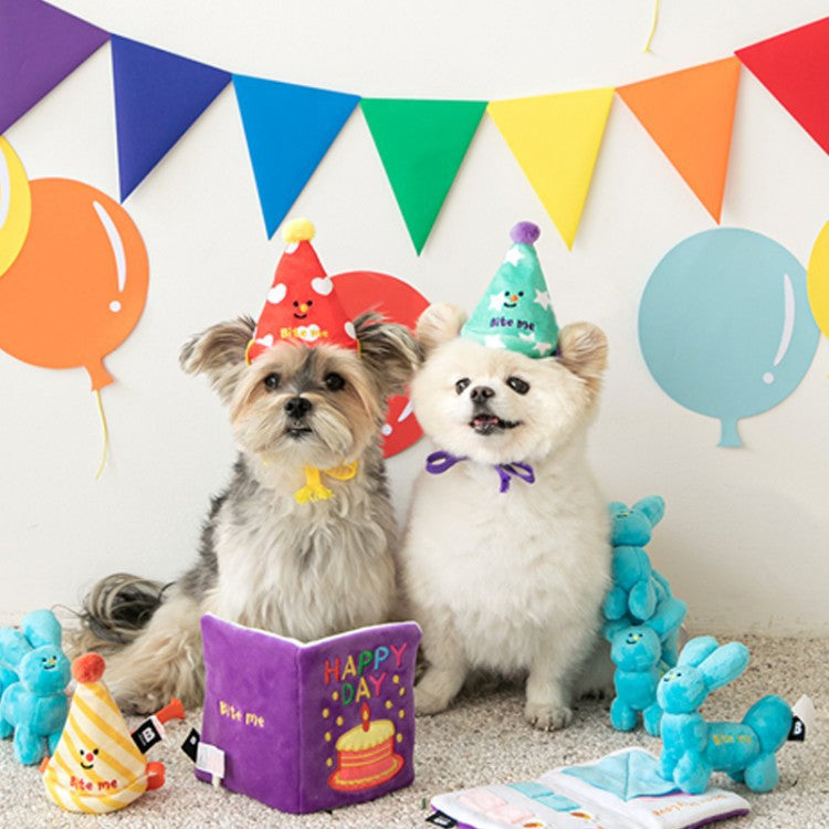 Festive birthday party hat for dogs