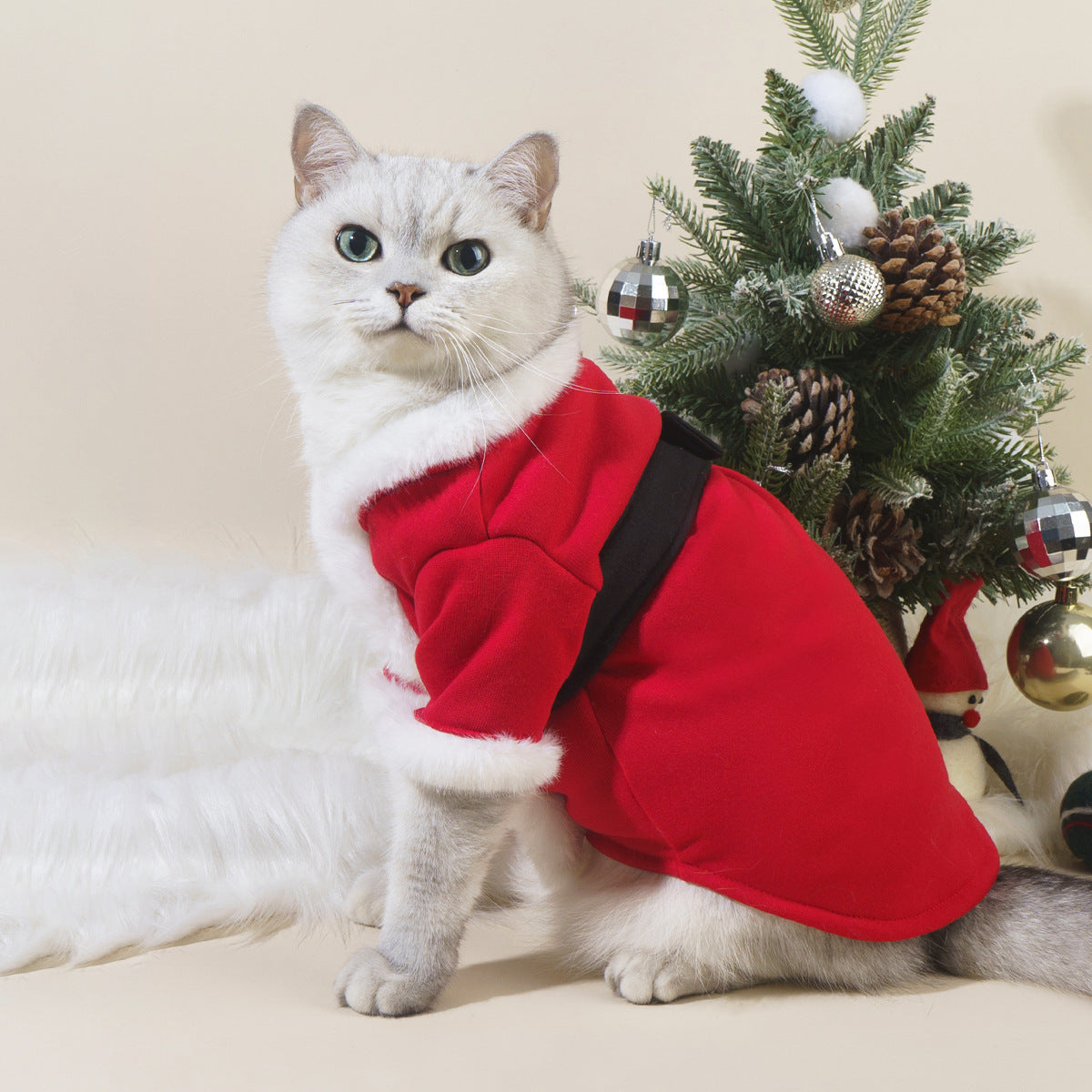 Festive winter pet outfit