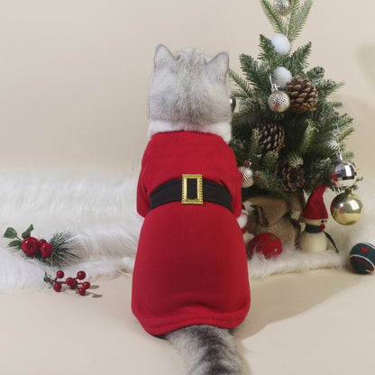 Dog wearing red Christmas sweater