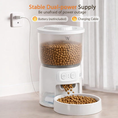 Automatic feeder for cats and small dogs in white