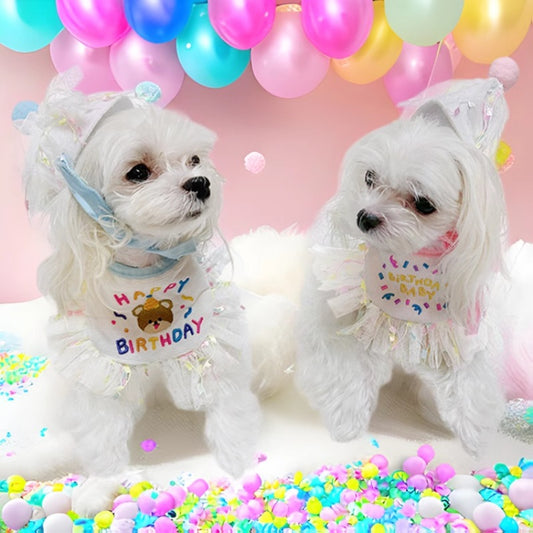 Pet birthday party hat and scarf set for cats and dogs