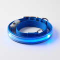 LED Rechargeable Safety Dog Collar — Glow Night Walks